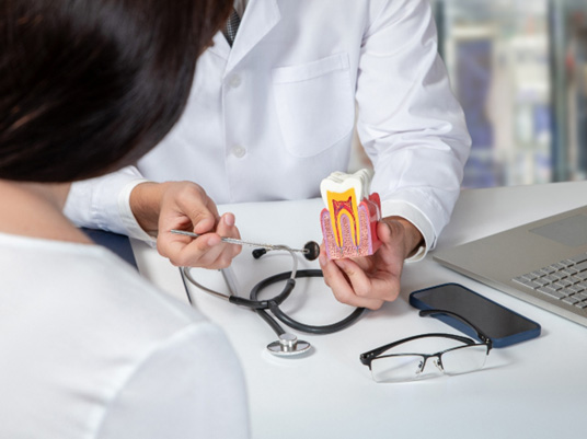 Dentist showing patient model of teeth